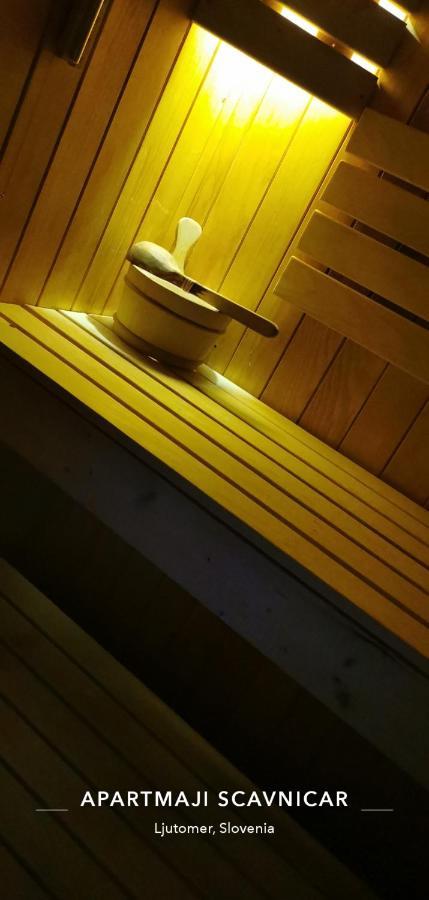 Apartments And Wellness Scavnicar 柳托梅尔 外观 照片
