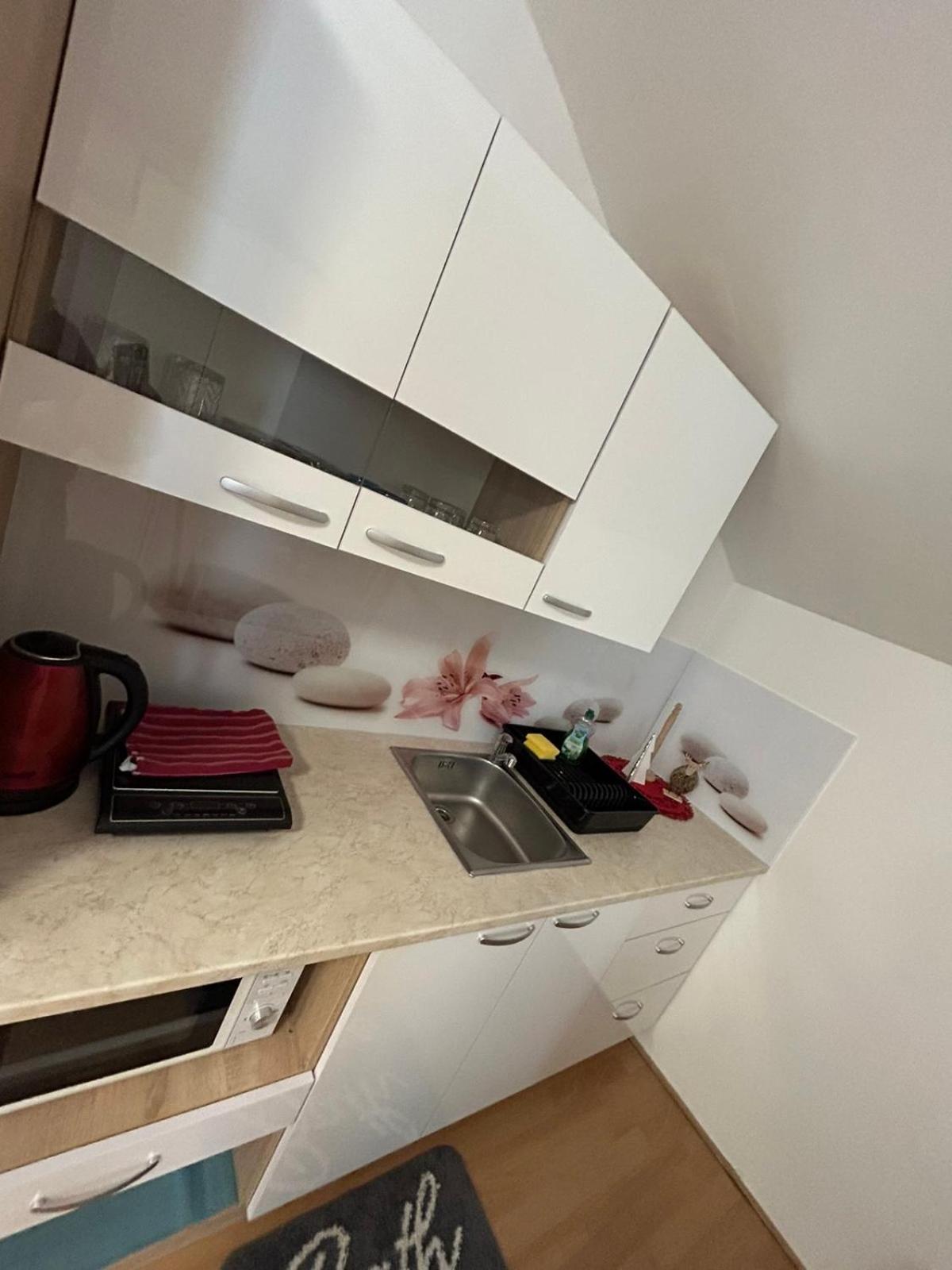 Apartments And Wellness Scavnicar 柳托梅尔 外观 照片